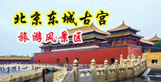 插骚逼流水视频中国北京-东城古宫旅游风景区